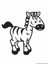Zebra Coloring Pages Printable Print Kids Cartoon Clipart Baby Drawing Stencil Clip Sheet Animal Simple Templates Template Cute Color Easy sketch template