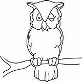 Eared Momjunction Owls Collared Eurasian Scoops sketch template