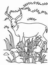 Antelope Grassland Mewarnai Pemandangan Antelop Sungai Colouring Savanna Antilope Pintarcolorir Watching Zoo Coloringhome Calistung Terlengkap sketch template