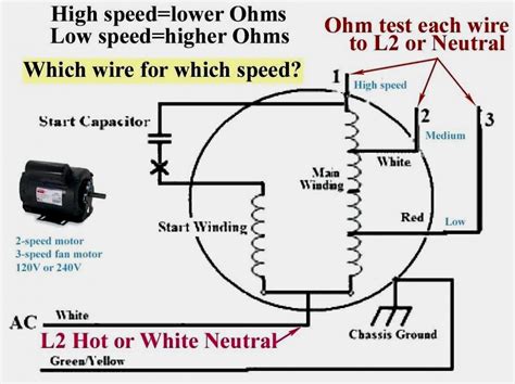 furnace blower motor wiring diagram cadicians blog