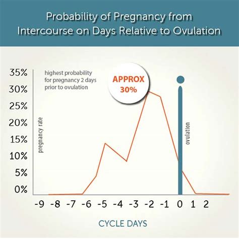 menstrual cycle when can you get pregnant home video blog