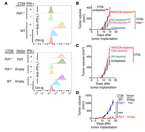 Pd L1 Expression By Ct26 Tumor Cells Prevents Tumor Rejection Mediated