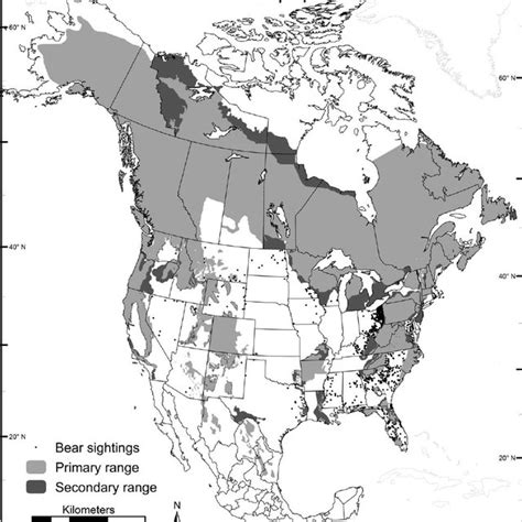 geographic distribution  american black bears  north america