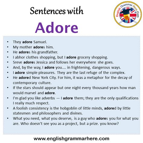 sentences  adore adore   sentence  english sentences