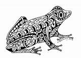 Amphibien Frosch Zentangle Malvorlagen Mandalas Tiere sketch template