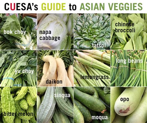 Pictures Of Asian Vegetables Teenage Lesbians