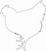 Chicken Silhouette Outline Vector Coloring Svg Silhouettes Pages sketch template