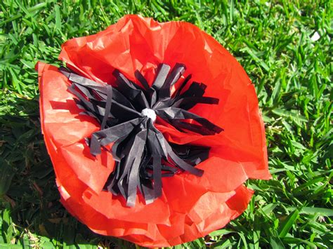 living   guide law tissue paper poppies