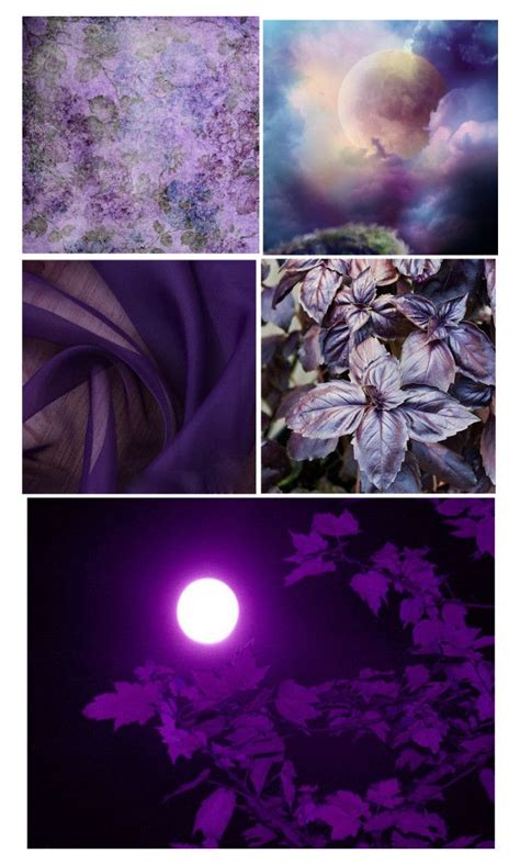 Purple Aesthetic By Giulia Ostara Re Liked On Polyvore