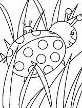Coloring Grass Pages Ladybug Walking Grow Well So Designlooter Color 791px 55kb sketch template