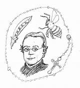 Gregor Mendel Madness Bio Peas sketch template