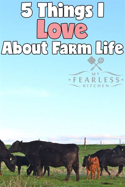 5 things i love about farm life from my fearless kitchen