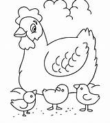 Ferme Momjunction Coloriages Chickens Toddler Chick Coloringfolder sketch template