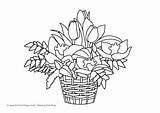 Hyacinth Coloring Getcolorings Colouring Spring sketch template