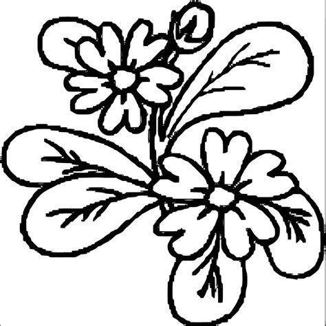 flower coloring pages wecoloringpagecom