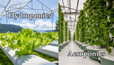 hydroponics  aeroponics  system