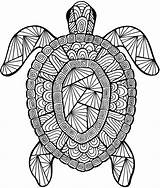 Advanced Coloring Pages Adult Detailed Turtle Sea Older Students Collection Part sketch template