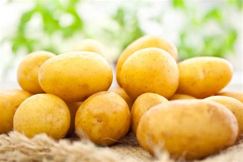 le varieta principali  patate   usarle caratteristiche curiosita  ricette
