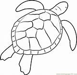 Turtle Coloringpages101 sketch template