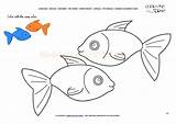 Coloring Fish Example Color Two Animals Pages Printable sketch template