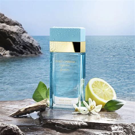 light blue  dolcegabbana perfume   fragrance  women