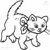 Coloring Cat Pages Kitten Printable Bow Cats Color Animals Kittens sketch template