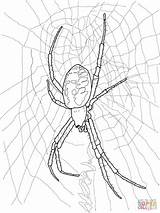 Widow Spinnen Ausmalbild Wespenspinne Spiders Redback Spinne Gwen Outside Supercoloring Designlooter Kidsworksheetfun Kategorien sketch template