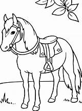 Paarden Malvorlage Pferde Paard Manege Paardrijden Springen Kleurplatenenzo Zo Kleurplaatjes Wedstrijd Dressuur Cheval Stimmen Hond 1004 1020 1025 Stemmen sketch template