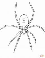 Aranha Spinnen Ausmalbilder Spinne Edderkop Tegninger Malvorlagen Malvorlage Edderkopper Spinnennetz sketch template