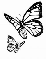 Butterfly Coloring Pages Drawing Tattoo Butterflies Monarch Drawings Side Clipart Stencils Printable Designs Outline Stencil Flying Getdrawings Realistic Impressive Golfian sketch template