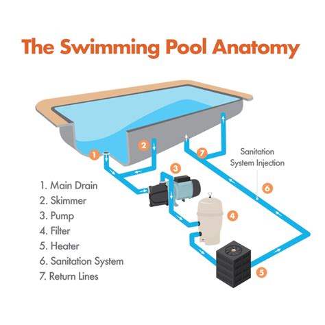 pool owners guide  roles   swimming pool equipment pad