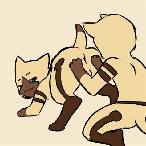 rule 34 anal animated aogami balls cute duo feline feline felyne gay licking male mammal