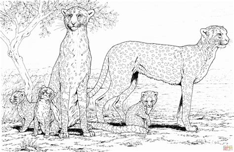 printable cheetah coloring pages everfreecoloringcom