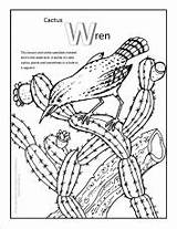 Coloring Pages Cactus Desert Colouring Printable Sonoran Saguaro Related sketch template