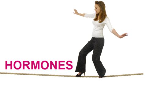 5 Faqs On Hormones And Weight Loss Resistance Sara Gottfried Md