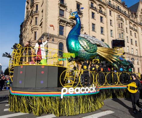 peacock  service macys thanksgiving day parade wiki fandom