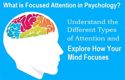 focused attention  psychology understanding   types  attention