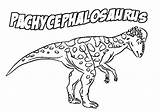 Pachycephalosaurus Coloring Pages Template sketch template