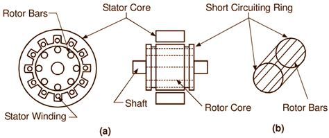 squirrel cage induction motor circuit diagram wiring diagram