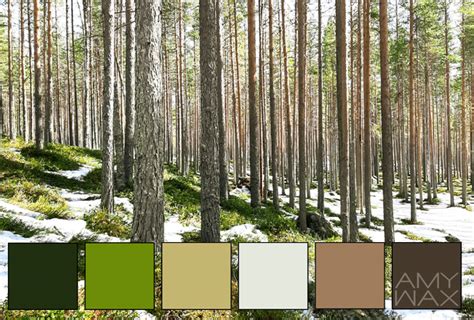 natures color palettes    planet  color inspiration
