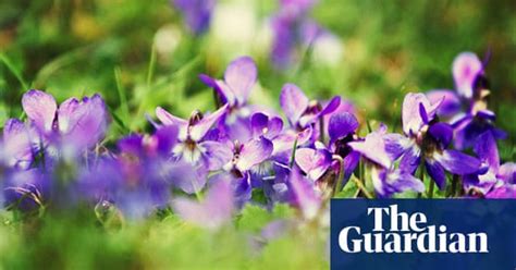 guardian camera club helen rushbrook on spring photography art and
