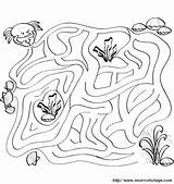 Labyrinth Meer Tiere Labirinto Granchio Animali Krabbe Bisogno Hanno Aiuto Spiele Labyrinthe Ausmalbilder Valecillo Erika Cambiare Potete Browser Anderen Genügt sketch template