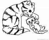Kitten Coloring Pages Color Print Kids sketch template