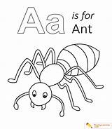 Ant Coloring Kids Drawing Letter Lowercase Uppercase Printable Pages Sheet Printables Paintingvalley Letters Through Explore Alphabet Vector sketch template