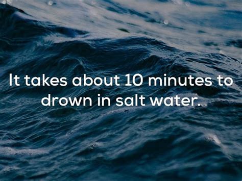 Disturbing Facts That Will Chill You Right To The Bone 20 Pics