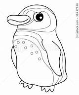 Magellan Penguin sketch template