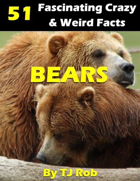 bears  huge  amazing heres   lot  facts  bears