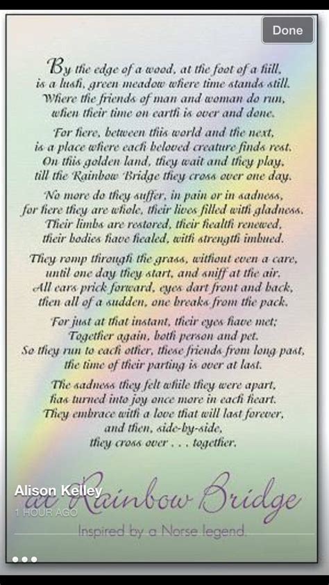 rainbow bridge rainbow bridge poem pet poems dog poems