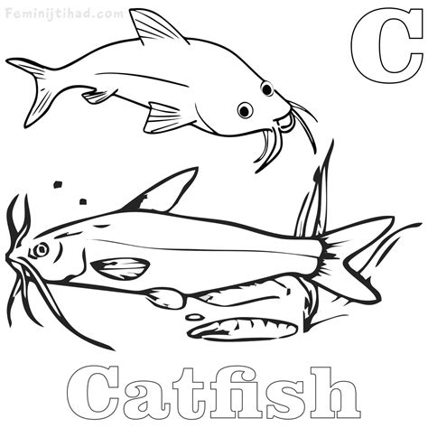 catfish coloring page  getcoloringscom  printable colorings