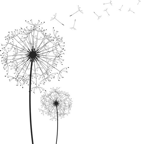 image bbeddcbacd dandelion png  stickers png